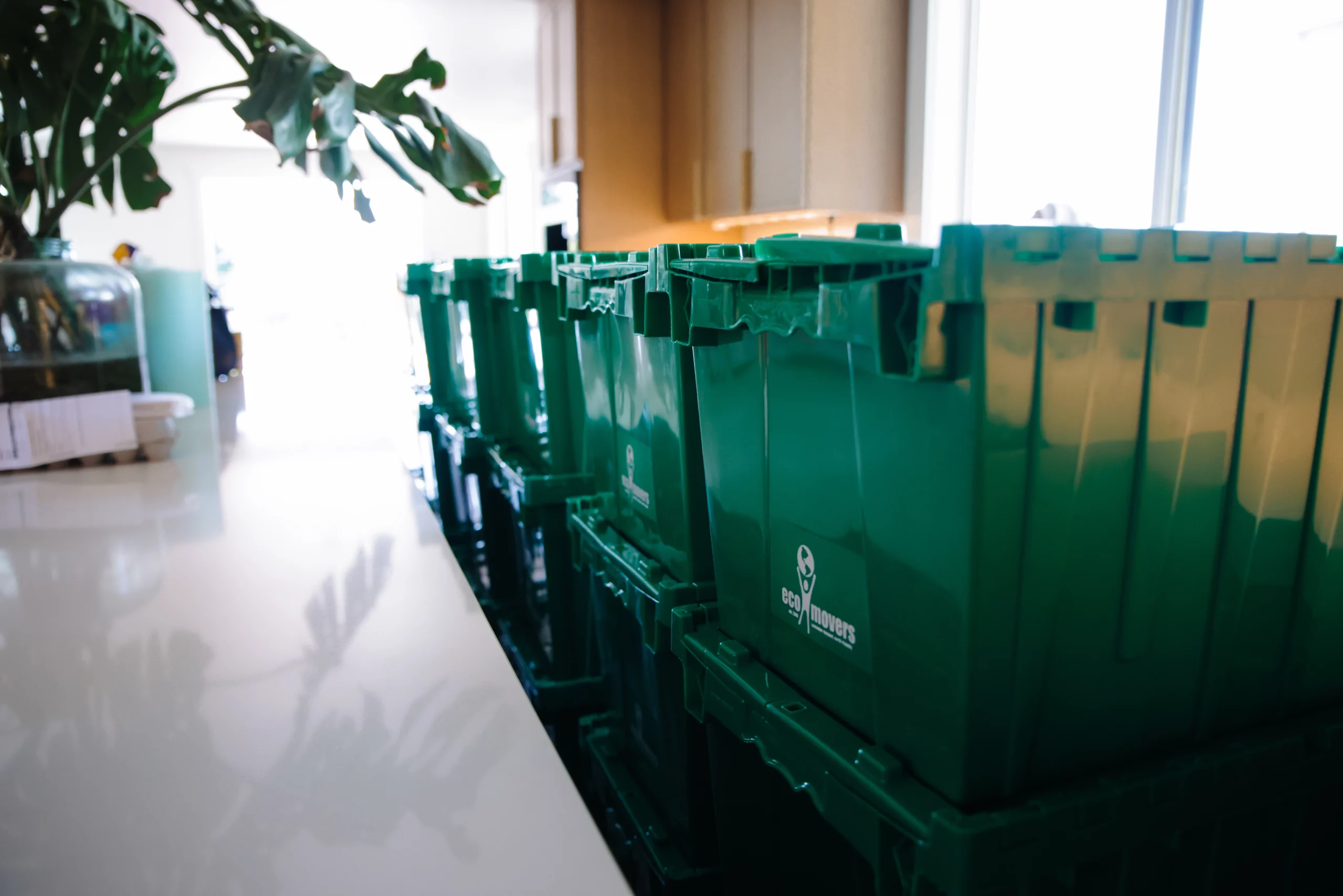 Eco Movers Eco Boxes 2025